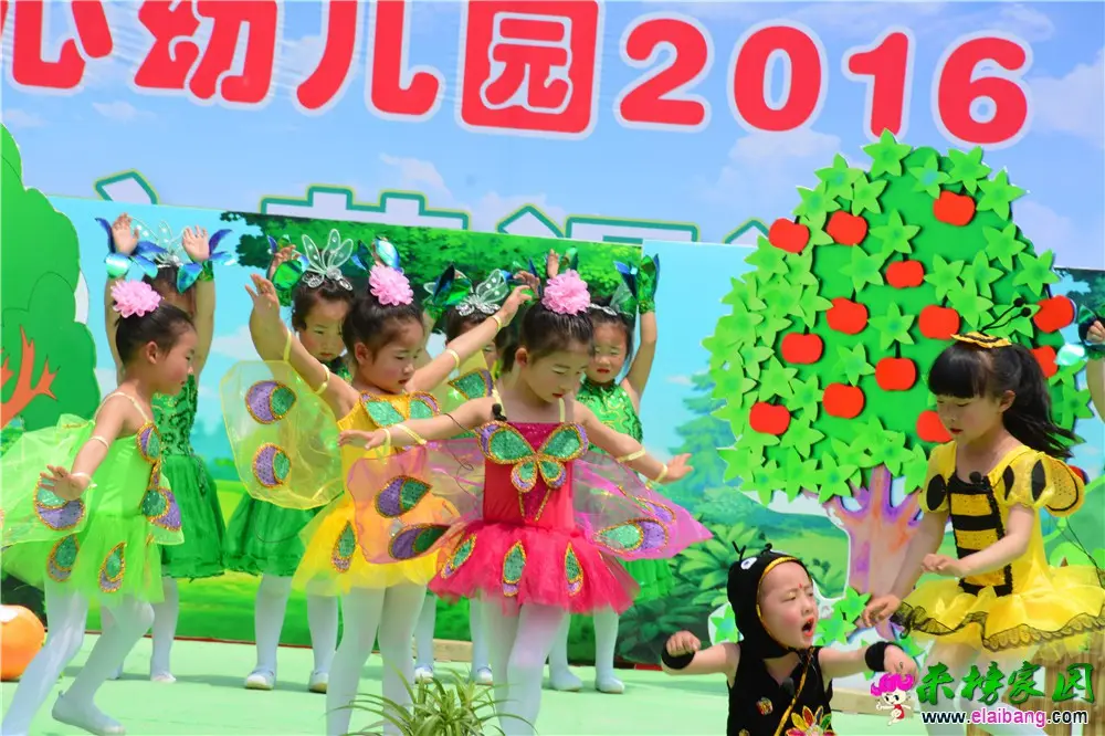 DSC_4800.webp