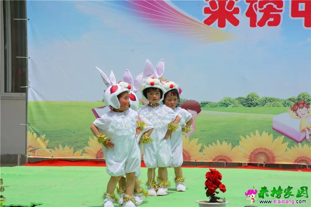 DSC_4951.webp