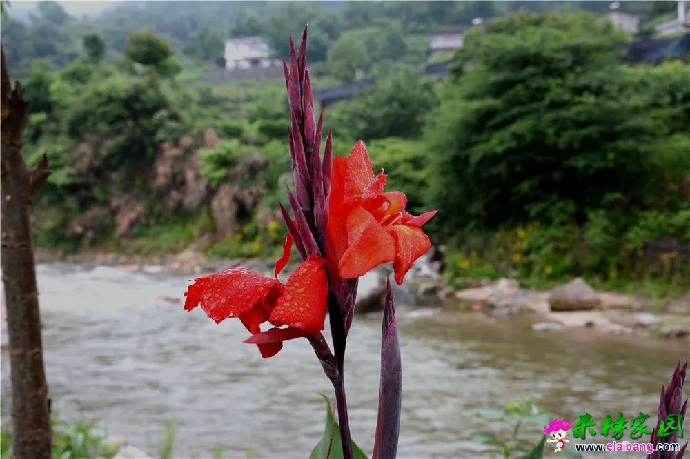 DSC_5121.webp
