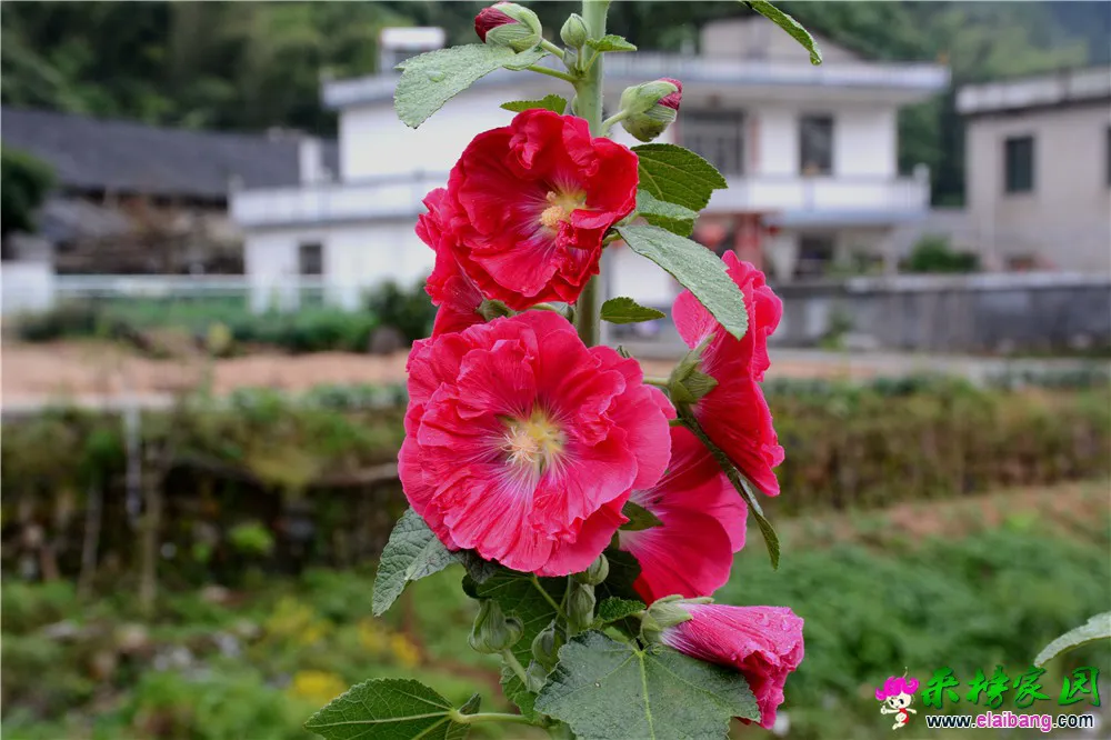 DSC_5129.webp