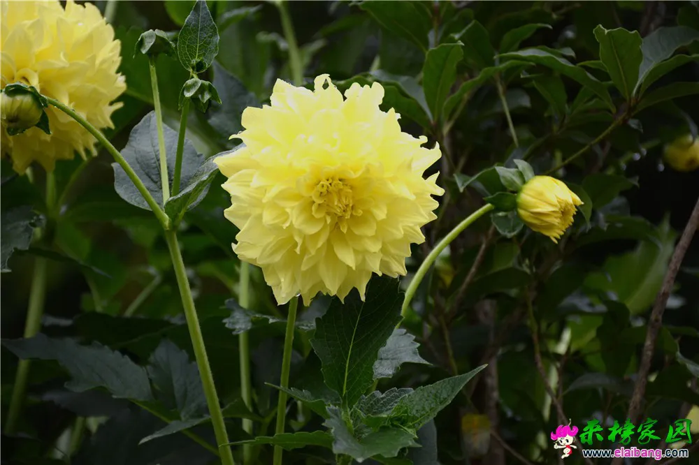 DSC_5132.webp