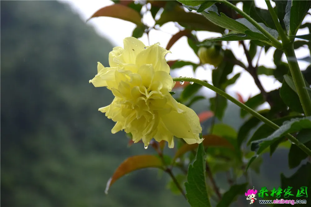 DSC_5135.webp
