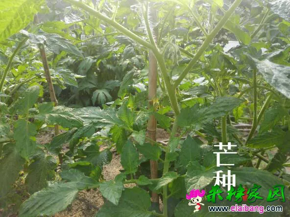 124322wm59aafafiiawyu1.webp