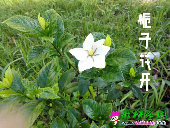124424j1n9phhdzi7xpd8i.webp
