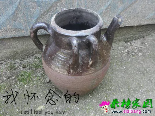 124728lgx147h19x72r351.webp