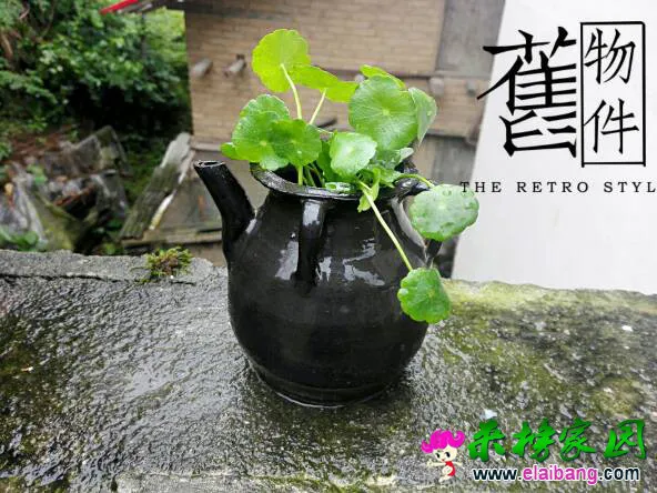 124729kcefffs6zfigtsqg.webp