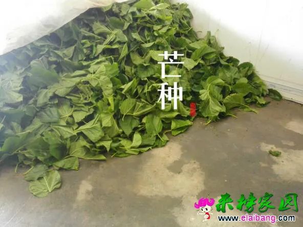 125053oaw0ih04ix2hg9x0.webp
