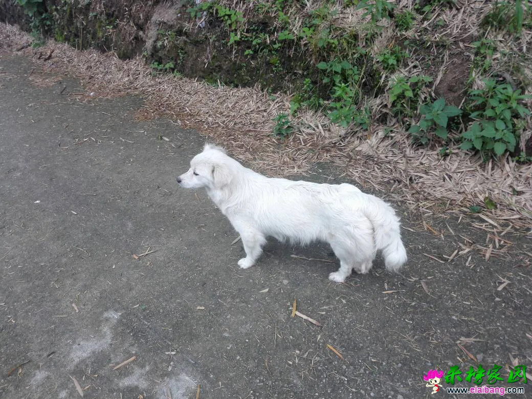 125907konghgeondgh69ut.webp