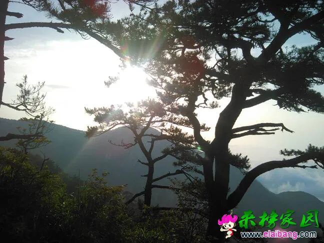 155857ocdzlv2hrleb2blr.webp