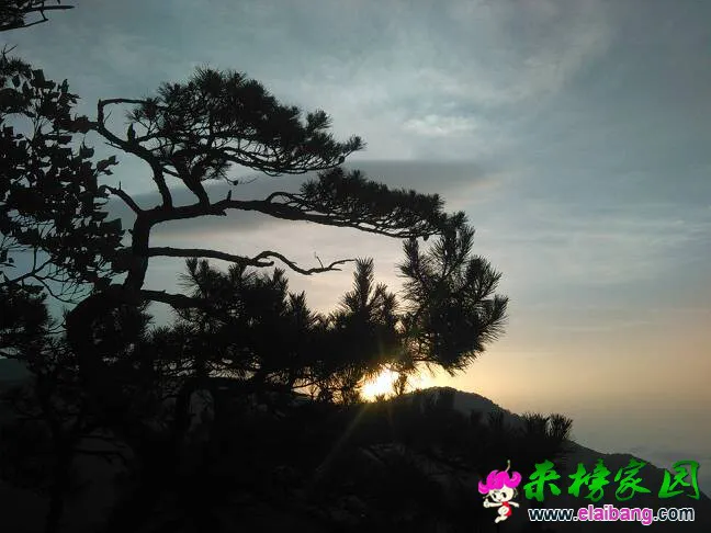 155857qffssfkg51dqj5sj.webp