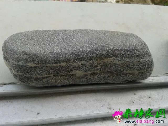 163708dh91kmw5agm7aaz7.webp