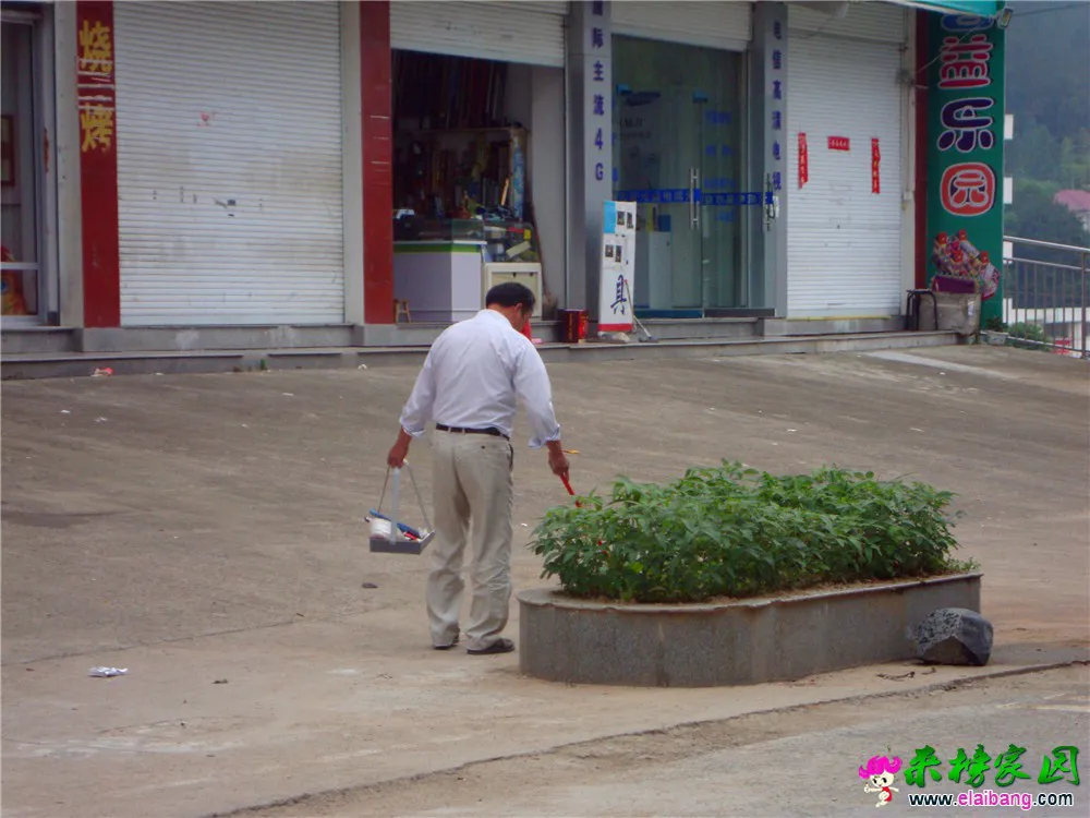 DSC06394.webp