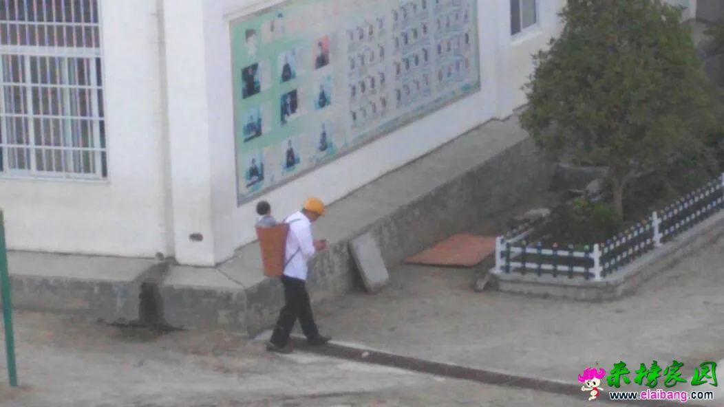 083139rw4488pdrcgww9k4.webp