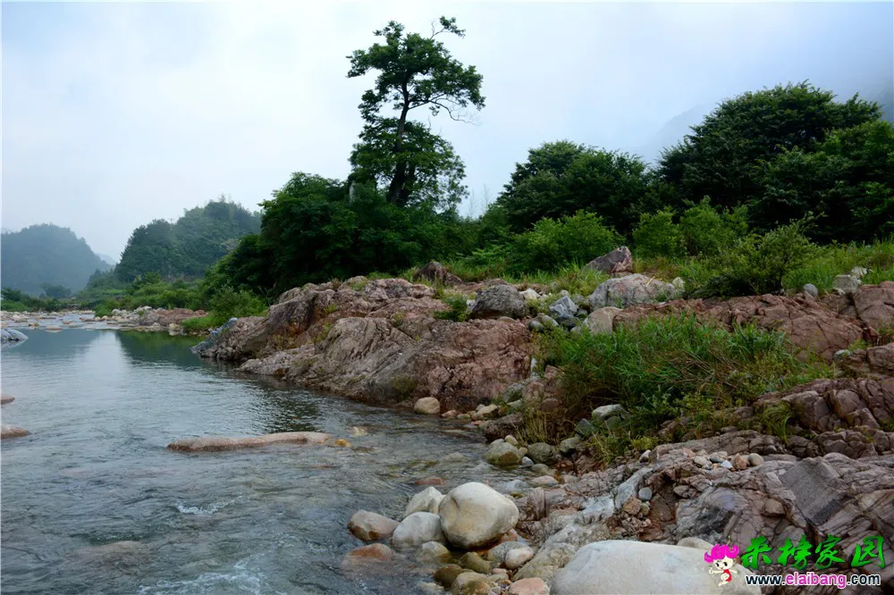 DSC_5187.webp