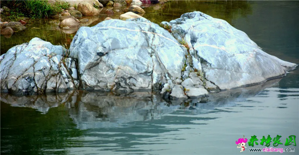 DSC_5190.webp
