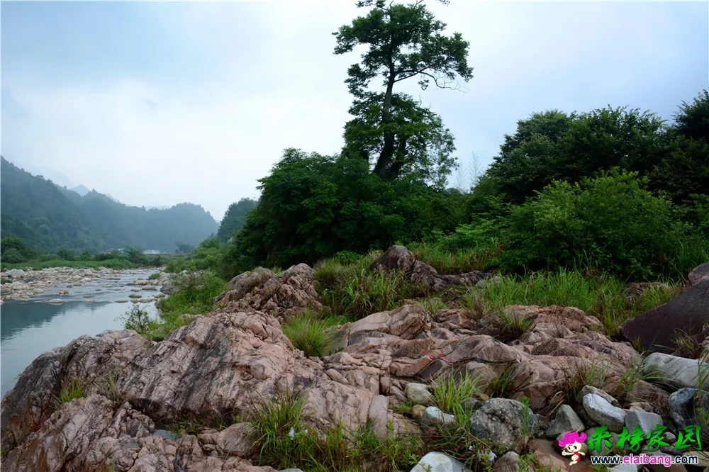 DSC_5189.webp