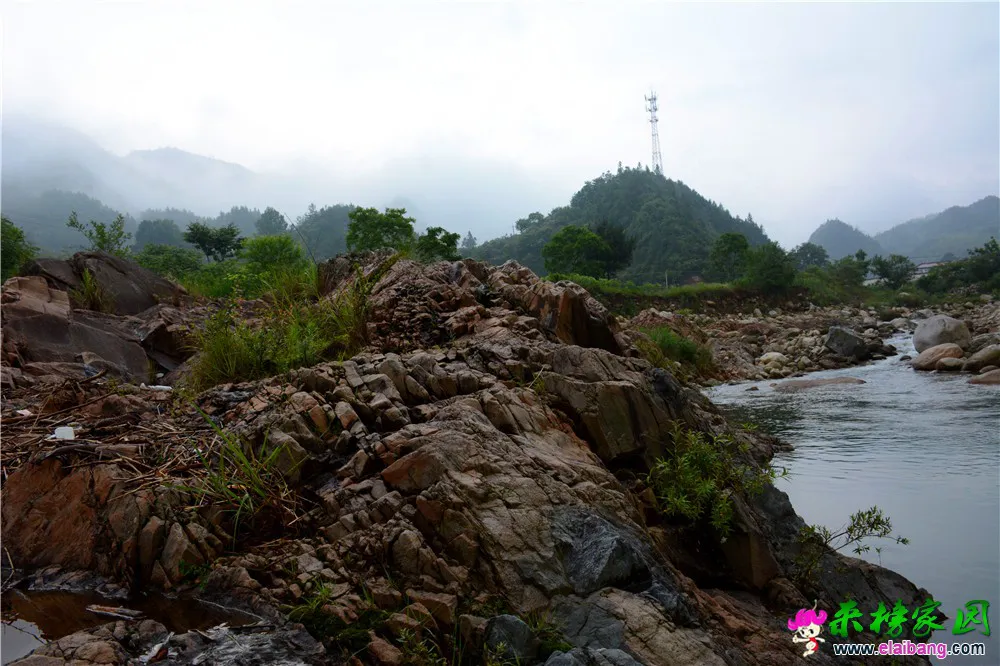 DSC_5195.webp