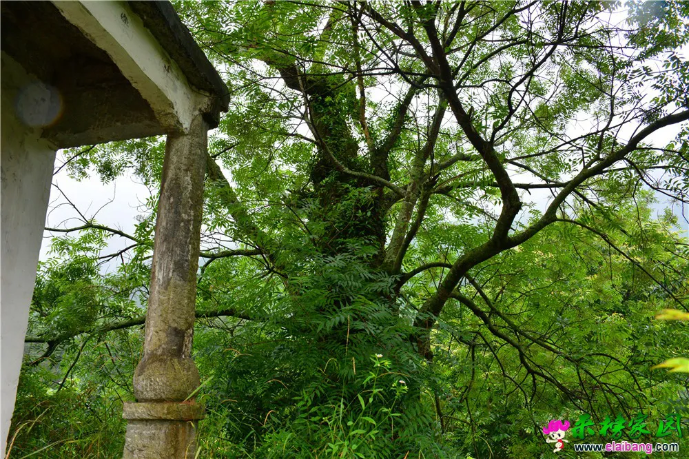 DSC_5204.webp