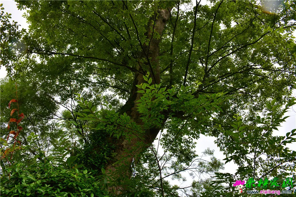 DSC_5207.webp