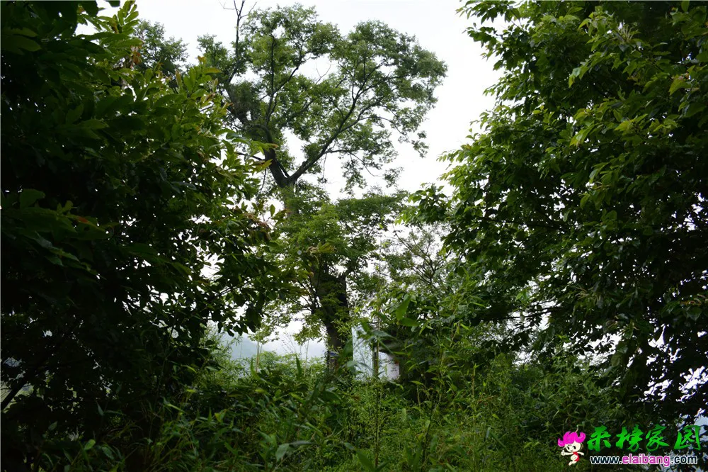 DSC_5210.webp