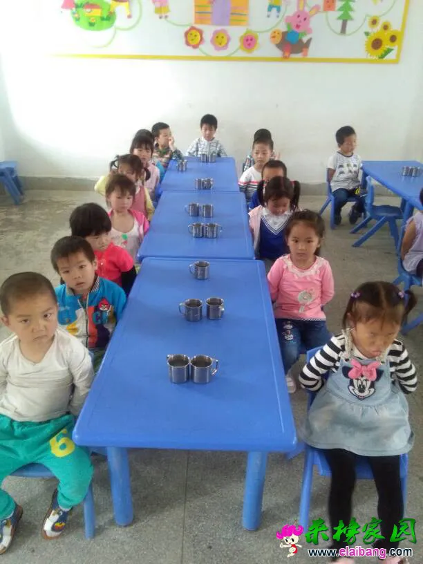 203035wssswo5czlls55g2.webp