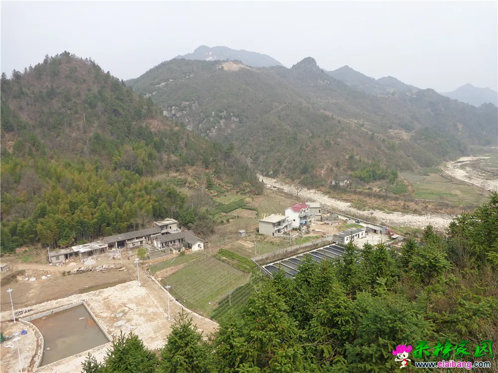 DSC00192.webp