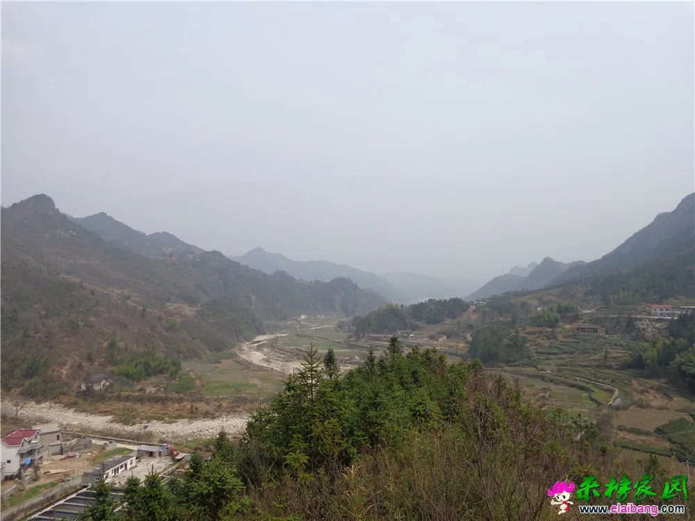DSC00191.webp