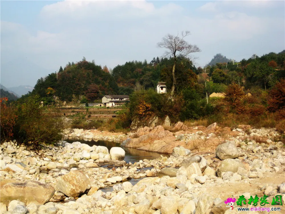 IMG_4863.webp