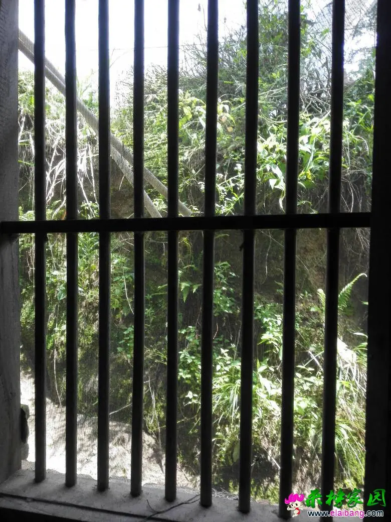 112447nemhlelbhtdtmbz5.webp