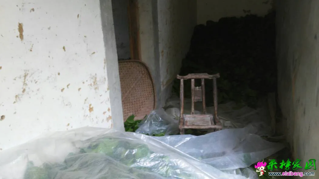 130326eibiqylbe4bxk114.webp