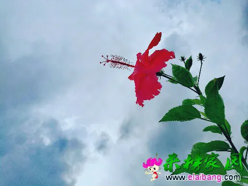 IMG_20160611_175947.webp