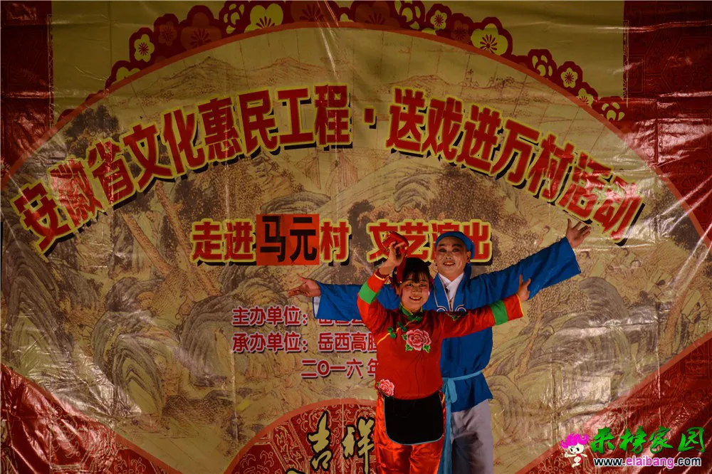DSC_5333.webp