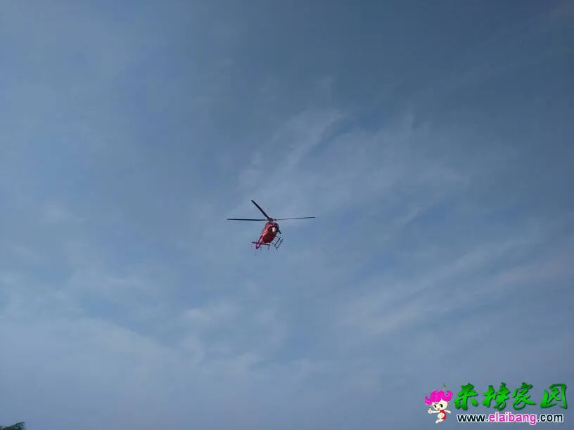 101021lpdsyzva3uyx53as.webp