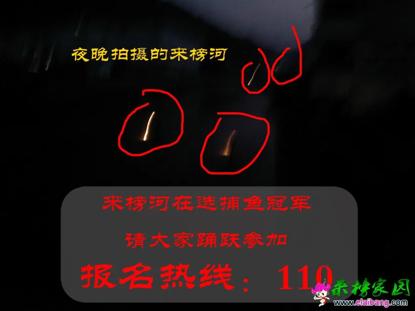 110.webp