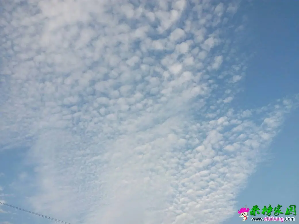 062259wx9lnrhlxnhh2xda.webp