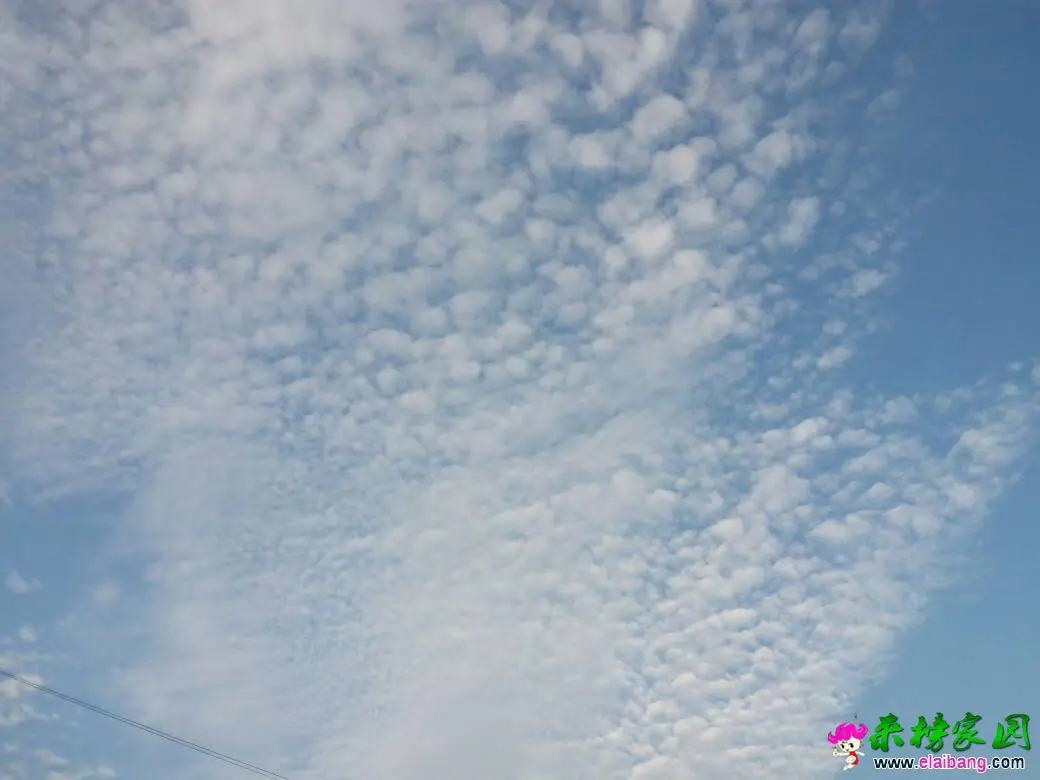 062259zyd755di7dvssoi5.webp
