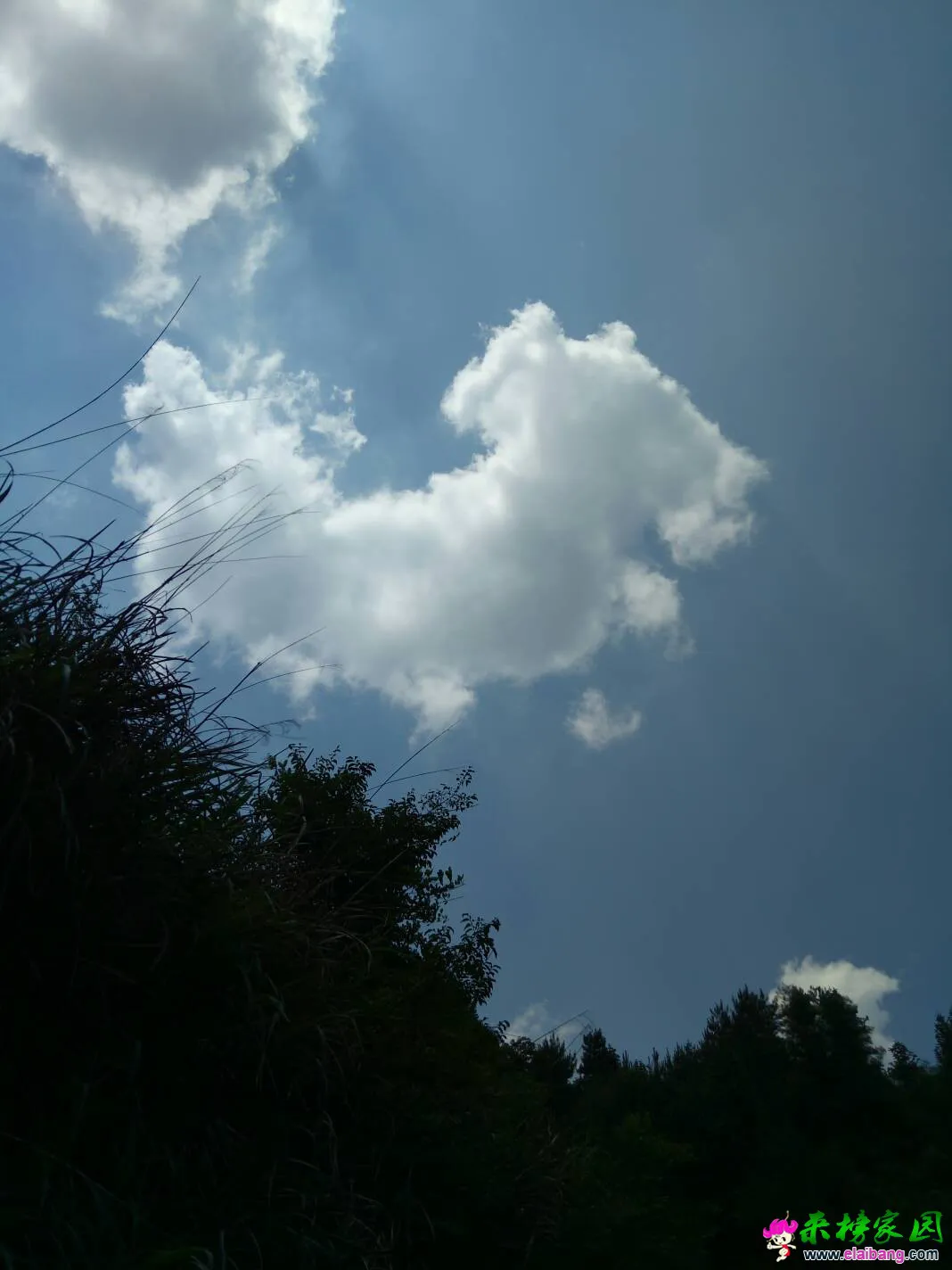 143144cupiare19xabubaa.webp