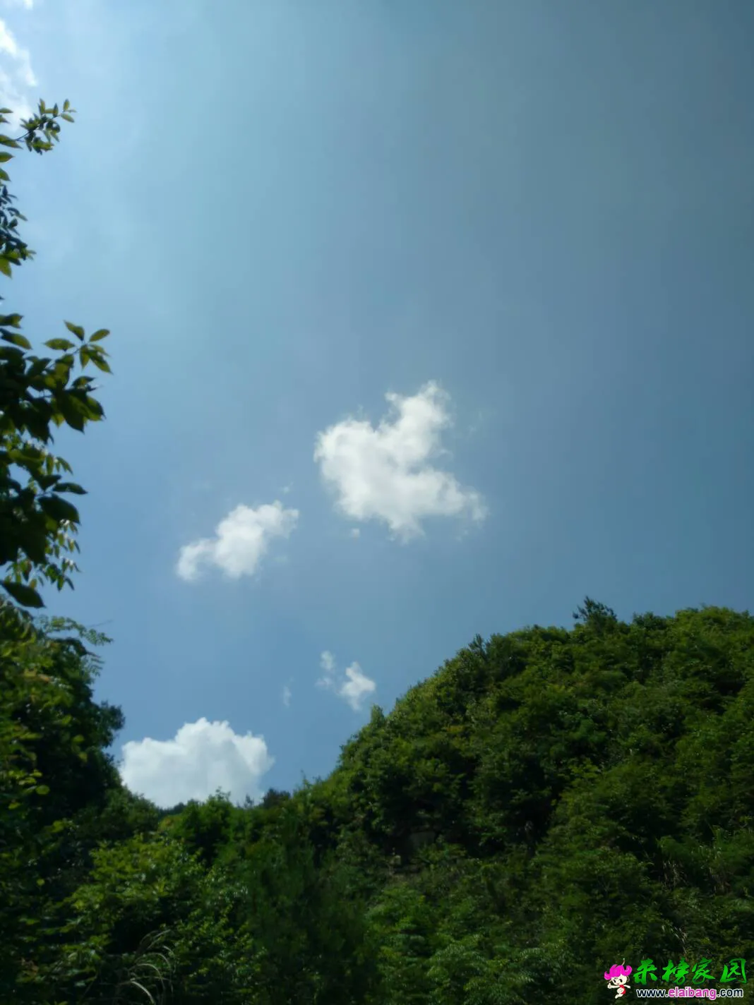 143144qn0ufbvmp4mnyvbu.webp