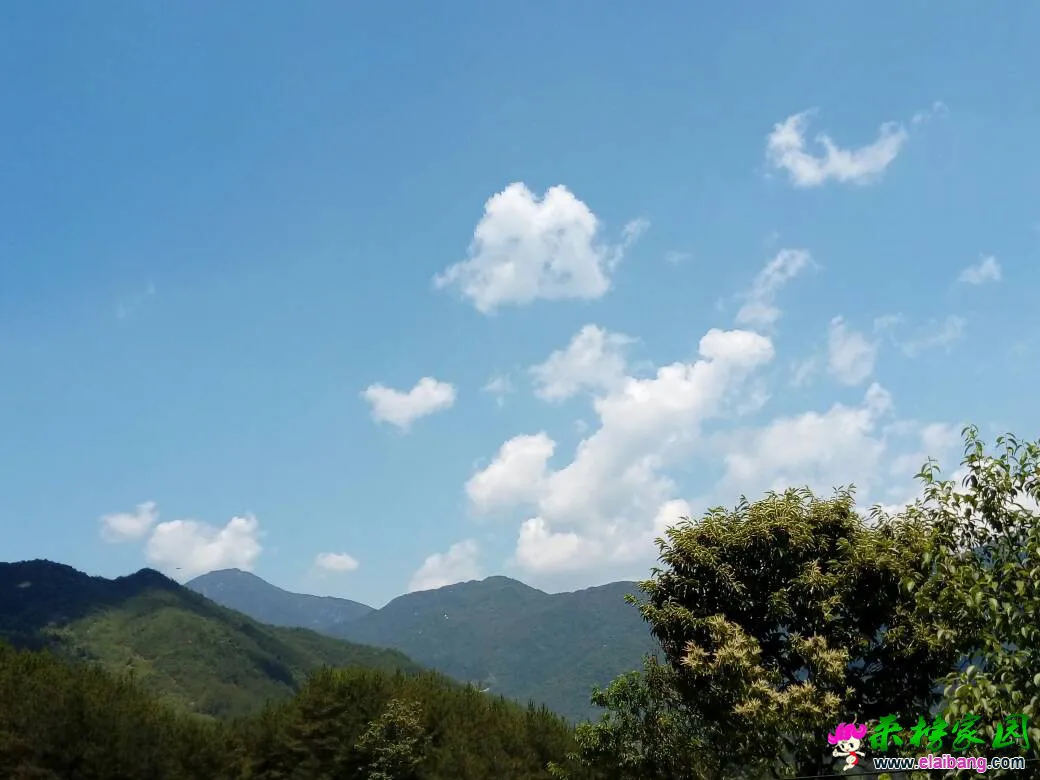 151321z76747z5ciq237t4.webp