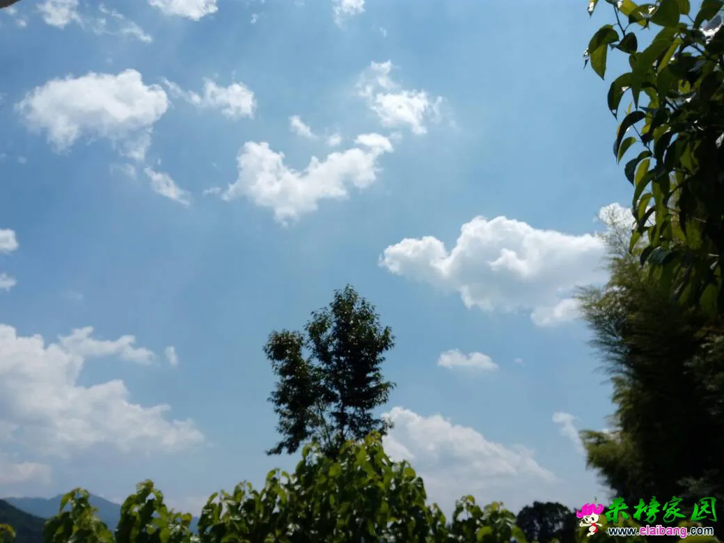 151322gi00sssn66yt6ob6.webp