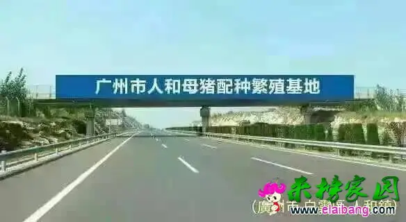 154340plfrcpzk4uqukftf.webp