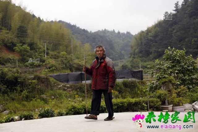 13.webp