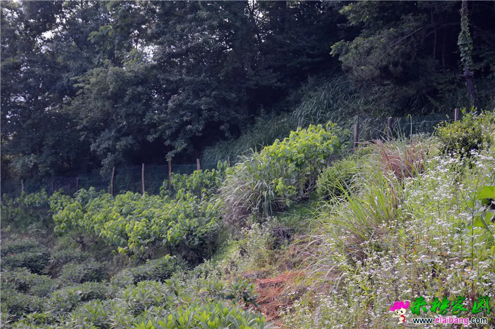 09.webp