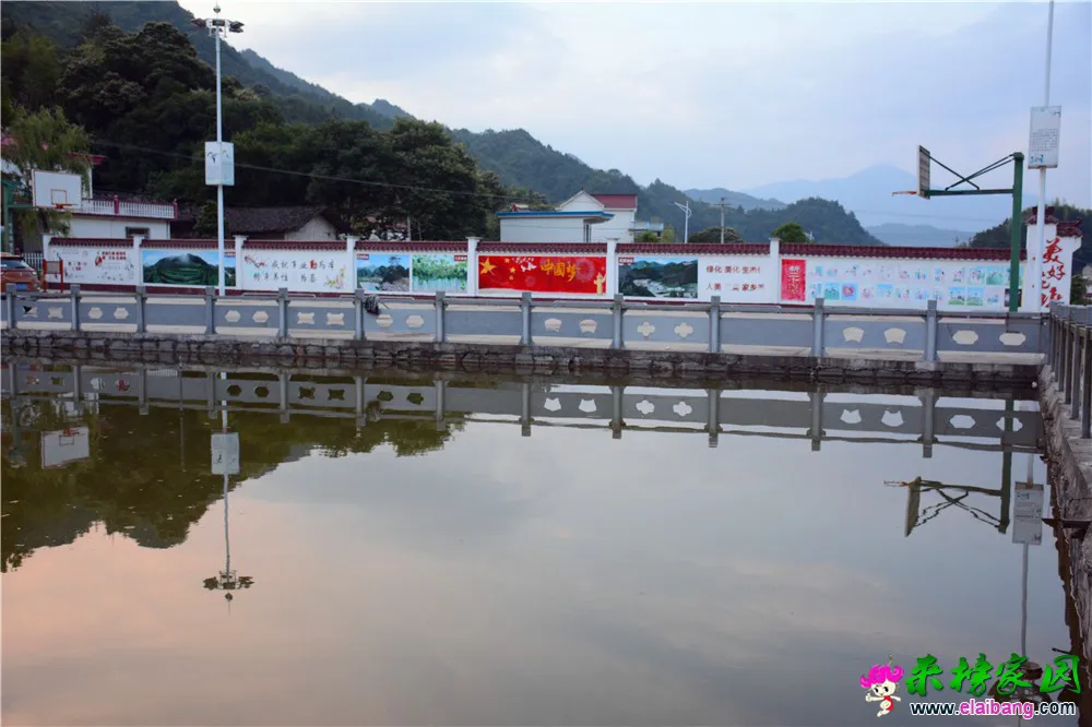 DSC_5390_副本2.webp