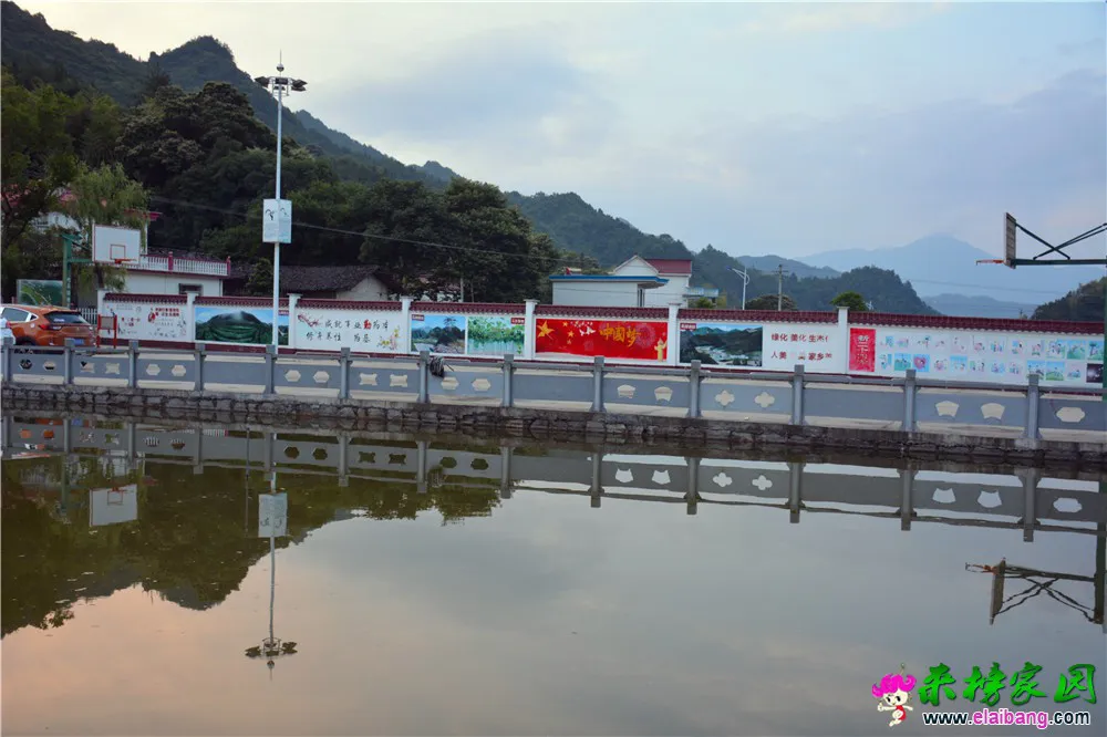 DSC_5389_副本2.webp