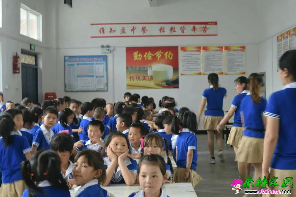 161405s8x8a18g7x99axxb.webp