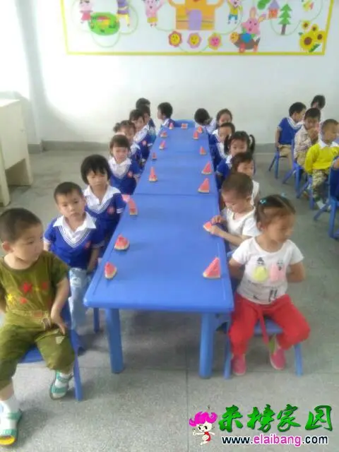 110126x0rghgnrnzs50j0j.webp