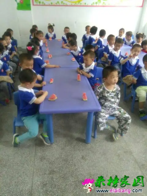 110127gkl3jzup4jneawku.webp