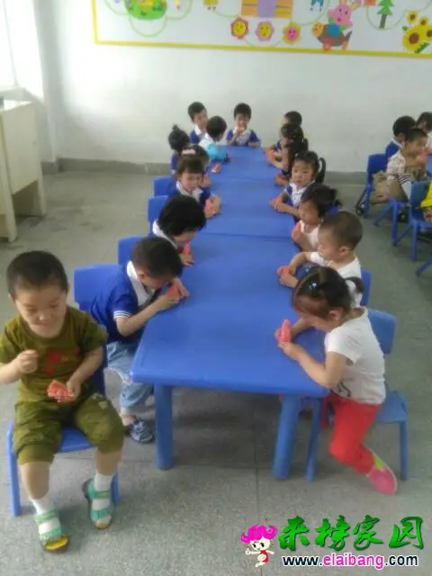 110127zlkb6f8x43lyls3f.webp