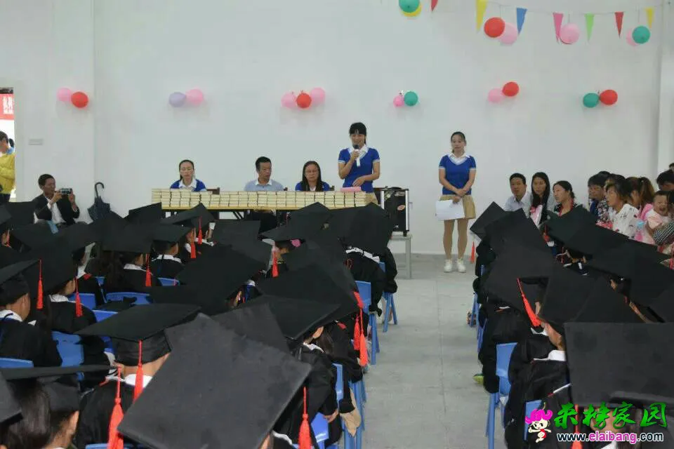 135826nnsbh41zn1n5ne22.webp